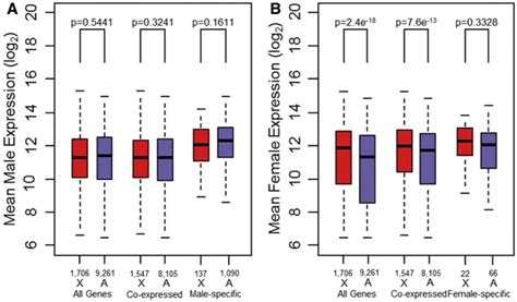 Dosage Compensation Via Hyperexpression In Both Sexes A Boxplots Download Scientific Diagram