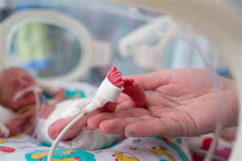 Сколько недель длится беременность - Беременность - Babyblog