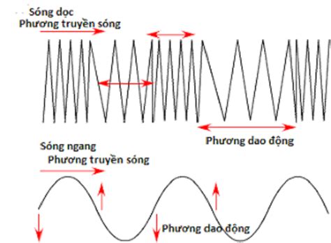 Sóng Ngang Là Sóng Có Phương Dao Động Vuông Góc Khám Phá Chi Tiết Đặc