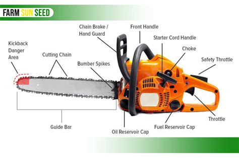 Parts of Chainsaw: Everything You Need To Know (Full Guide)