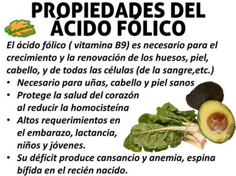 Blog de Plantas BENEFICIOS DEL ÁCIDO FÓLICO