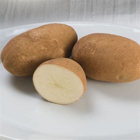 Gold Rush Russet Seed Potatoes Johnnys Selected Seeds