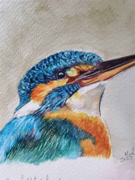 Kingfisher Bird Original Watercolour Painting Hand Painted A Bird