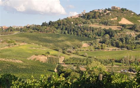 Celli Winery Where To Shop In Bertinoro Forli Cesena