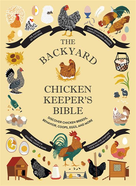 The Backyard Chicken Keepers Bible Discover Chicken Breeds Behavior