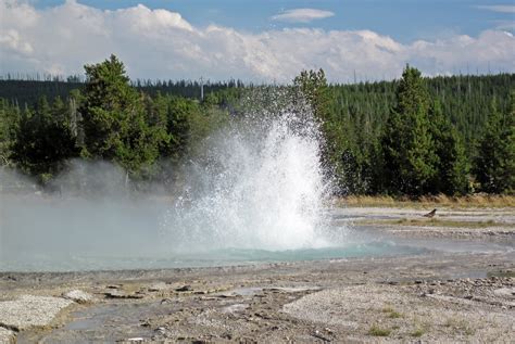 Mugwump Geyser Eruption 6 19 PM 9 August 2016 2 Flickr