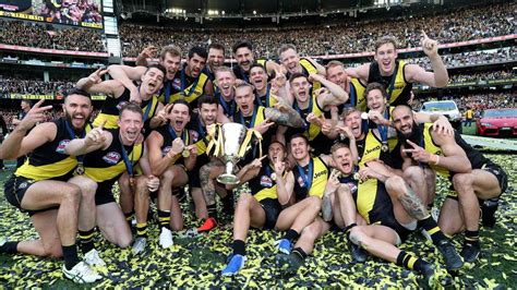 Afl Grand Final 2019 Photos Tigers Gws Picture Special From The Mcg The Advertiser