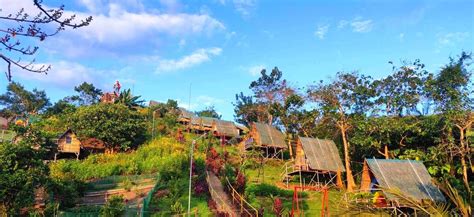 Rainbow Ecopark Camping In Tanay Rizal Campsites Philippines