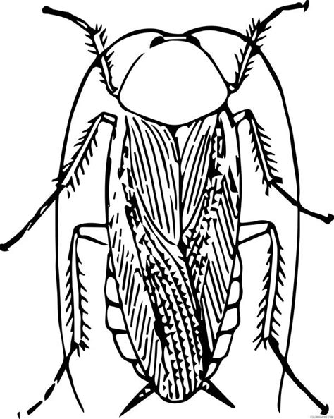 Desenhos De Baratas Para Imprimir E Colorir Pintar