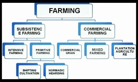 Explain the types of agriculture with the help of a flow chart - Social Science - Agriculture ...