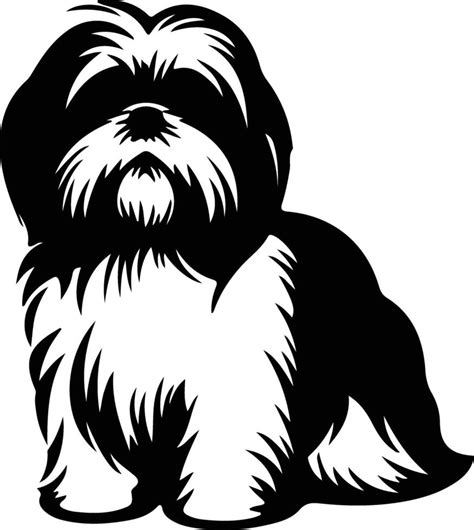 Shih Tzu black silhouette 38830031 Vector Art at Vecteezy