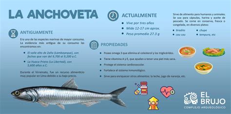 Serie Alimentos Andinos La Anchoveta Complejo Arqueológico El Brujo