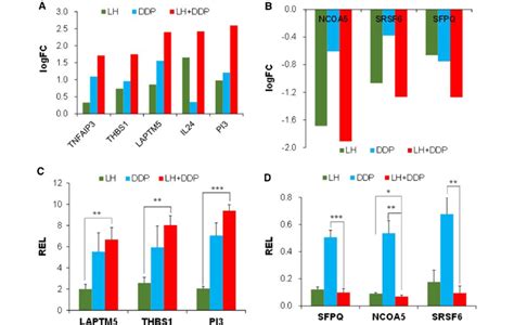 Combination Of Levofloxacin And Cisplatin Regulates Genes In Direction