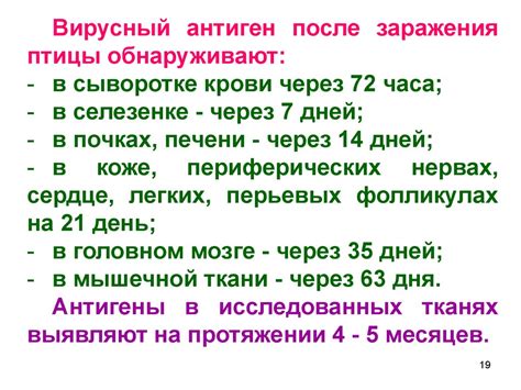 Болезнь Марека - презентация онлайн