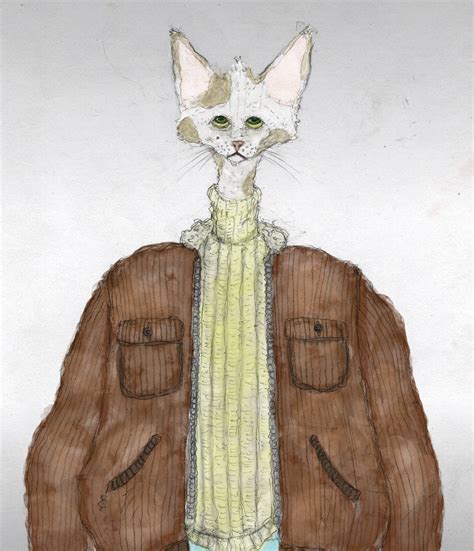 Cat Dude By Snein On Newgrounds