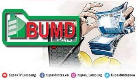 Kupas Tuntas Rugi Sejak 2012 Dan Diterpa Kasus Korupsi Dua BUMD