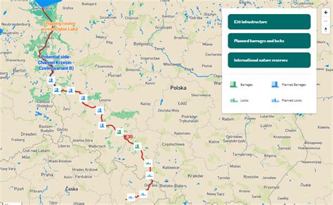 Ecological disaster on the Oder river causes mass fish die-off ...