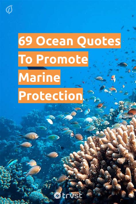 103 Ocean Quotes That Capture Its Beauty And Power 2024 Ocean