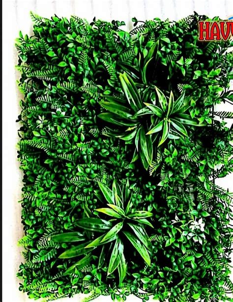 Plastic Artificial Green Wall At Rs Piece In Ahmedabad Id