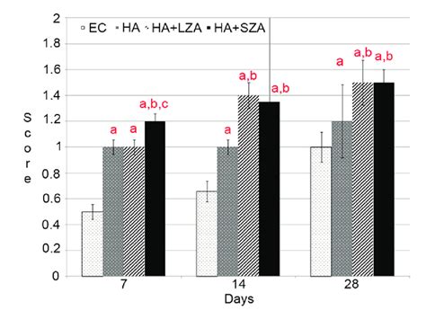 Osteoblast Number Of The Groups On Days 7 14 And 28 Osteoblast Download Scientific Diagram