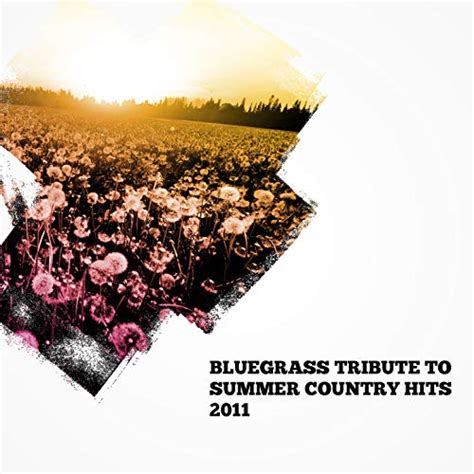 Écouter Bluegrass Tribute to Summer Country Hits 2011 de Pickin On