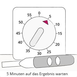 Schwangerschaftstest Welcher Ist Der Beste Und Worauf Ist Zu Achten