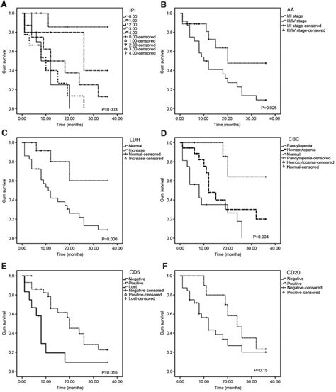 Clinical Analysis Of 42 Cases Of EBVpositive Mature T NKcell Neoplasms