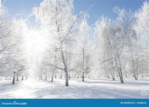 Winter Scene In Northern Idaho Stock Photo Image Of Frozen Freezing