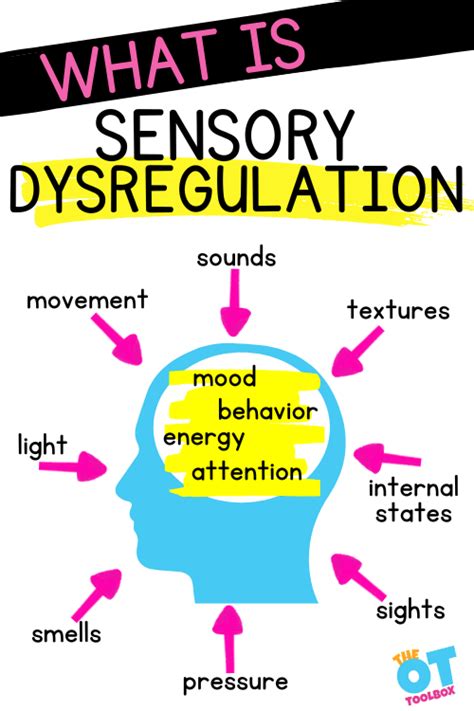 Understanding Sensory Dysregulation The Ot Toolbox