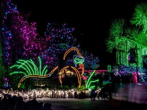 Denver Zoo Lights: Tickets, Packages, Features | Denver, CO Patch