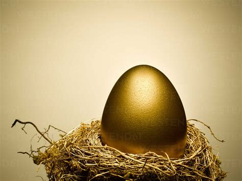 Golden Egg On Gold Nest Still Life Stock Photo