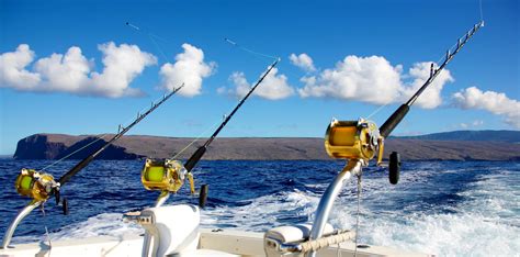 Cabo San Lucas Fishing Charters Sportsfishing Trips Cabo Platinum