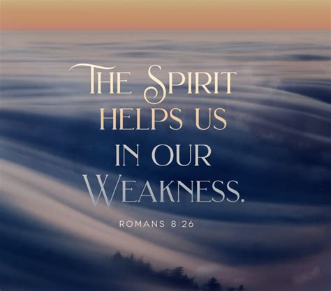 romans  andrew  speyer