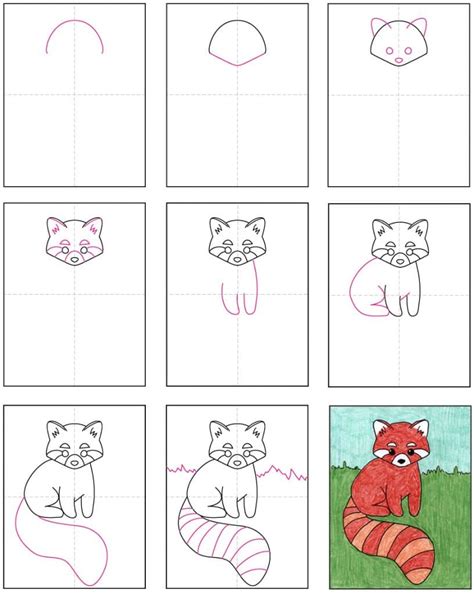 Draw a Red Panda · Art Projects for Kids