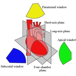 The Three Standard Planes Of The Heart I E The Long Axis Short Axis