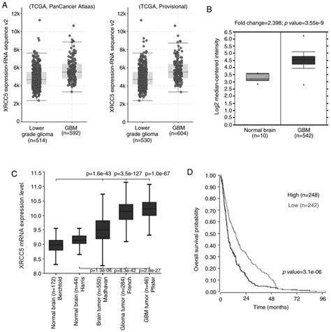 Elevated XRCC5 Expression Level Can Promote Temozolomide Resistance And