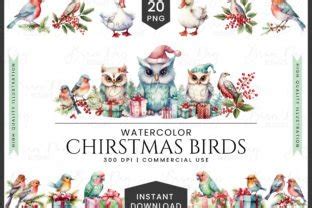 Watercolor Christmas Birds Clipart Graphic By Busydaydesign Creative