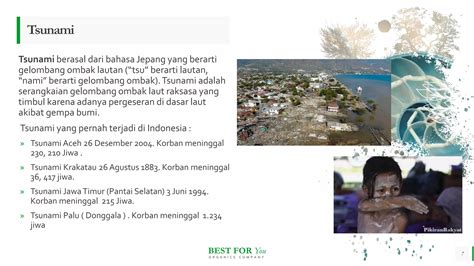 Mitigasi Bencana Alam Gempa Tsunami Ppt