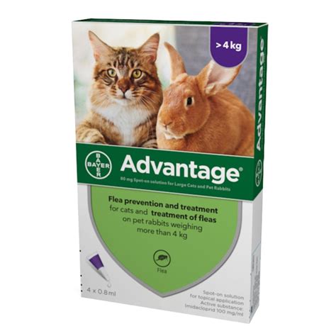 Advantage 80 Flea Treatment 4kg Large Catrabbit Petcounter