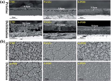 A Cross Sectional B Surface Sem Images Of The Anodes With Cmc