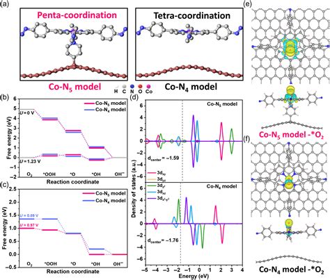 Decrypting The Influence Of Axial Coordination On The Electronic