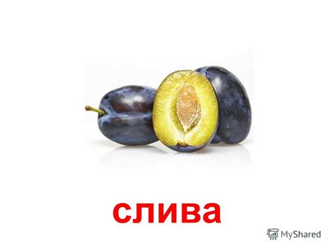 Презентация на тему: "фрукты яблоко груша персик абрикос нектарин ...