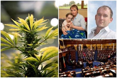 Weed Bill Goes Up In Smoke As Health Committee Shoot Down Medical