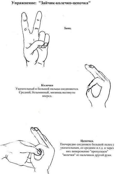 Кинезиологические упражнения для детей: улучшение памяти и внимания ...