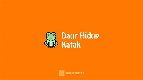 Metamorfosis & Daur Hidup Katak Beserta Gambar Dan Penjelasannya