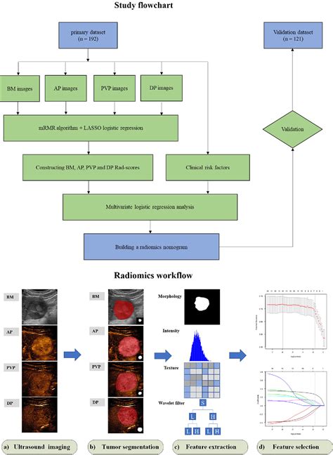 Figure 1 From Preoperative Prediction Of Microvascular Invasion In