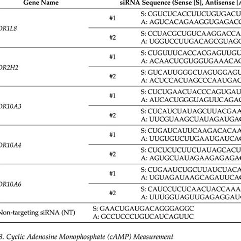 Sirna Sequences Used For Gene Silencing Download Scientific Diagram