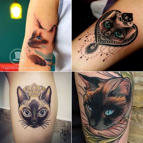 Tatuagem de Gato Significados Dicas de Artistas e de 100 Inspirações