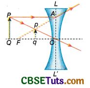 What is Lens Formula? Give its Sign Conventions and Assumptions - CBSE Tuts