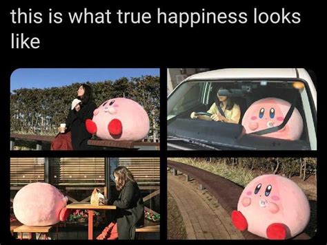 Happiness Incarnate Kirby Know Your Meme